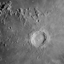 Copernicus